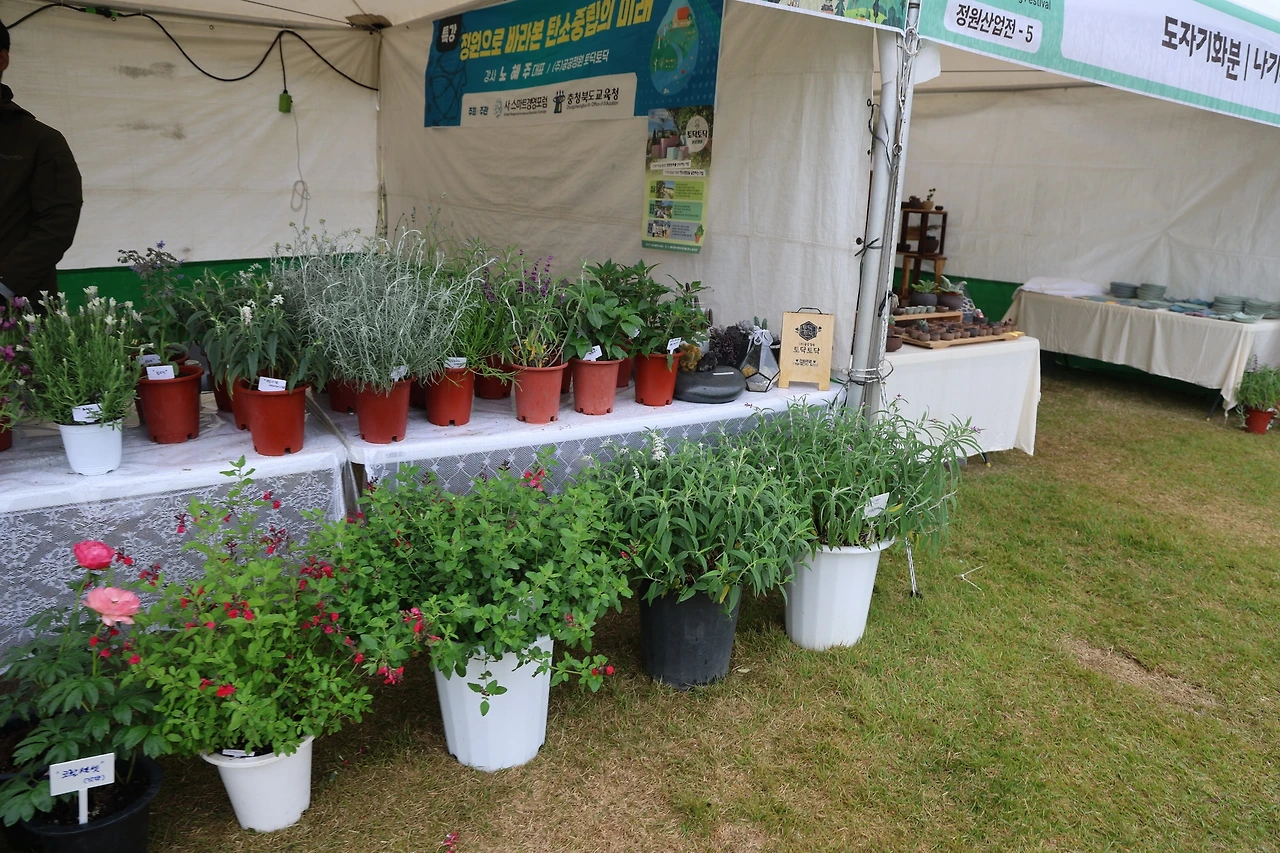 0R5A0184_новый размер.JPG