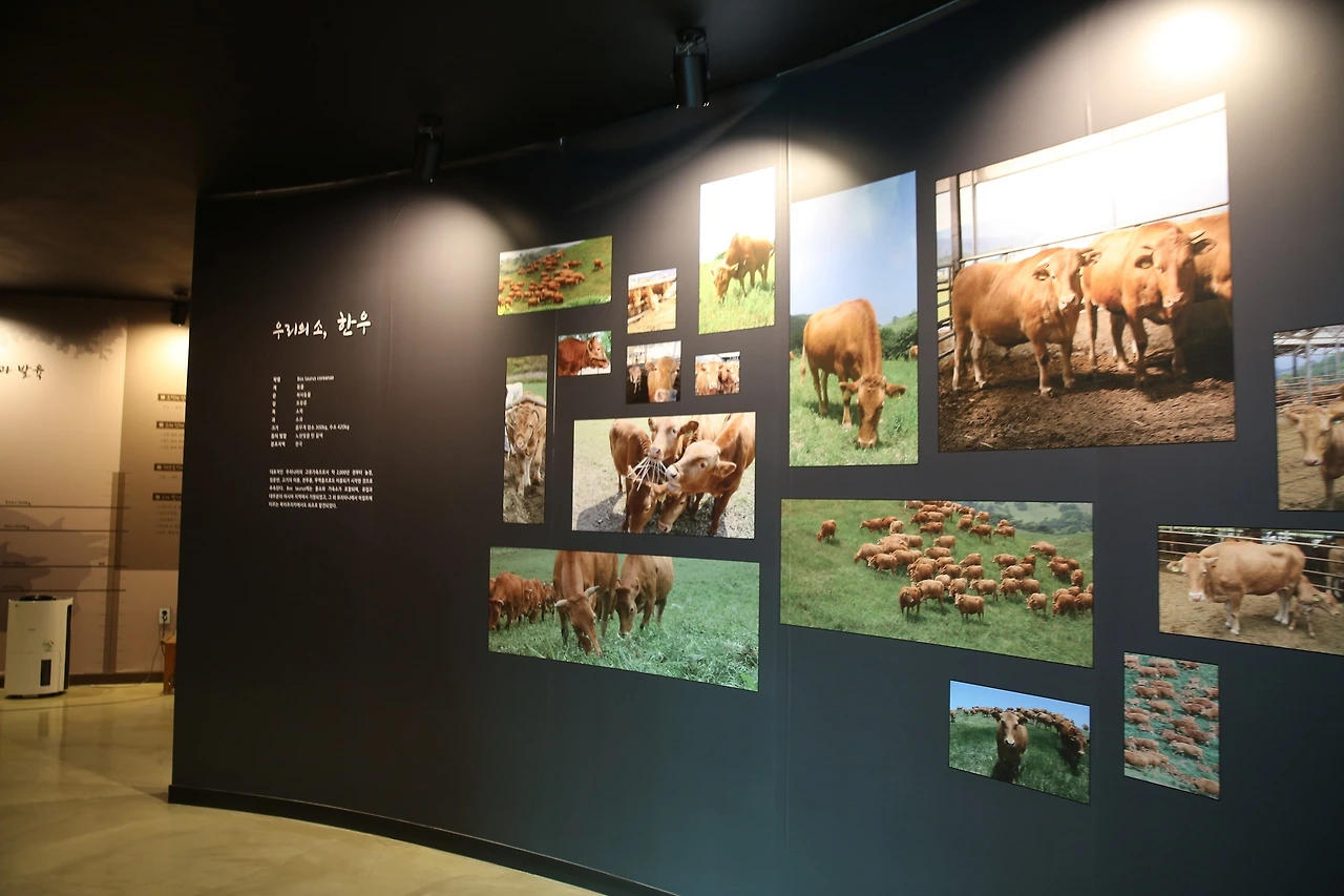 MG0A8332_новый размер.JPG