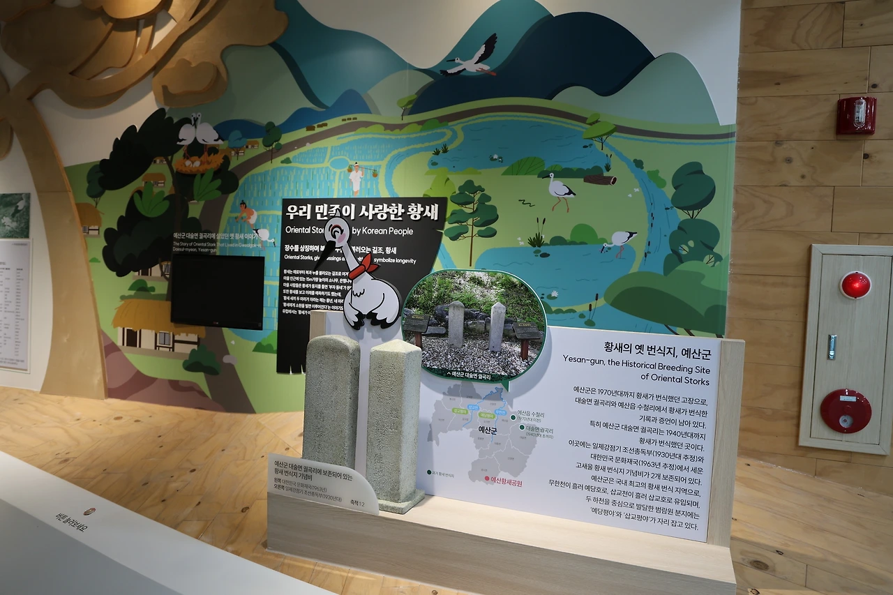 0R5A9696_новый размер.JPG