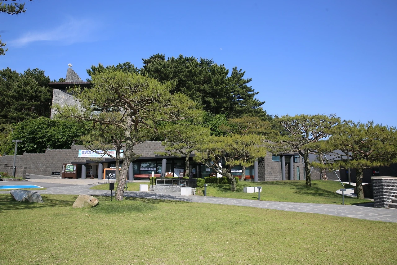 MG0A3971_новый размер.JPG