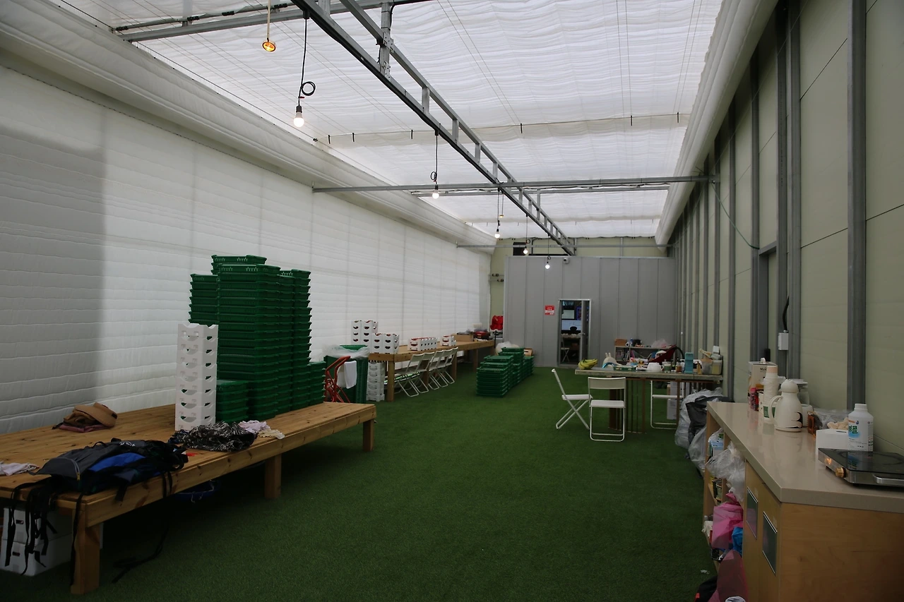 MG0A5284_новый размер.JPG