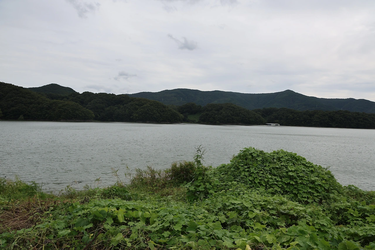 0R5A7596_новый размер.JPG