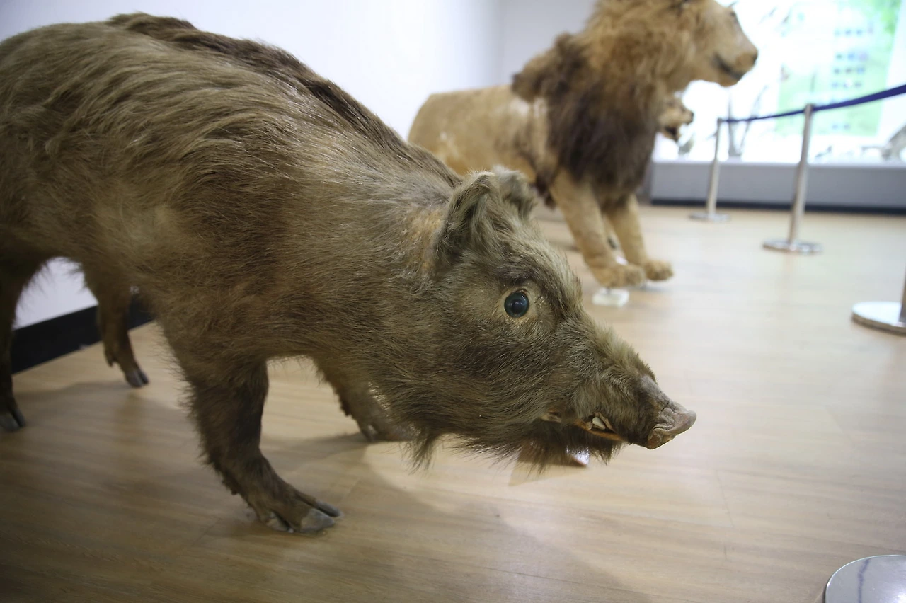 MG0A9968_resize - 복사본.JPG