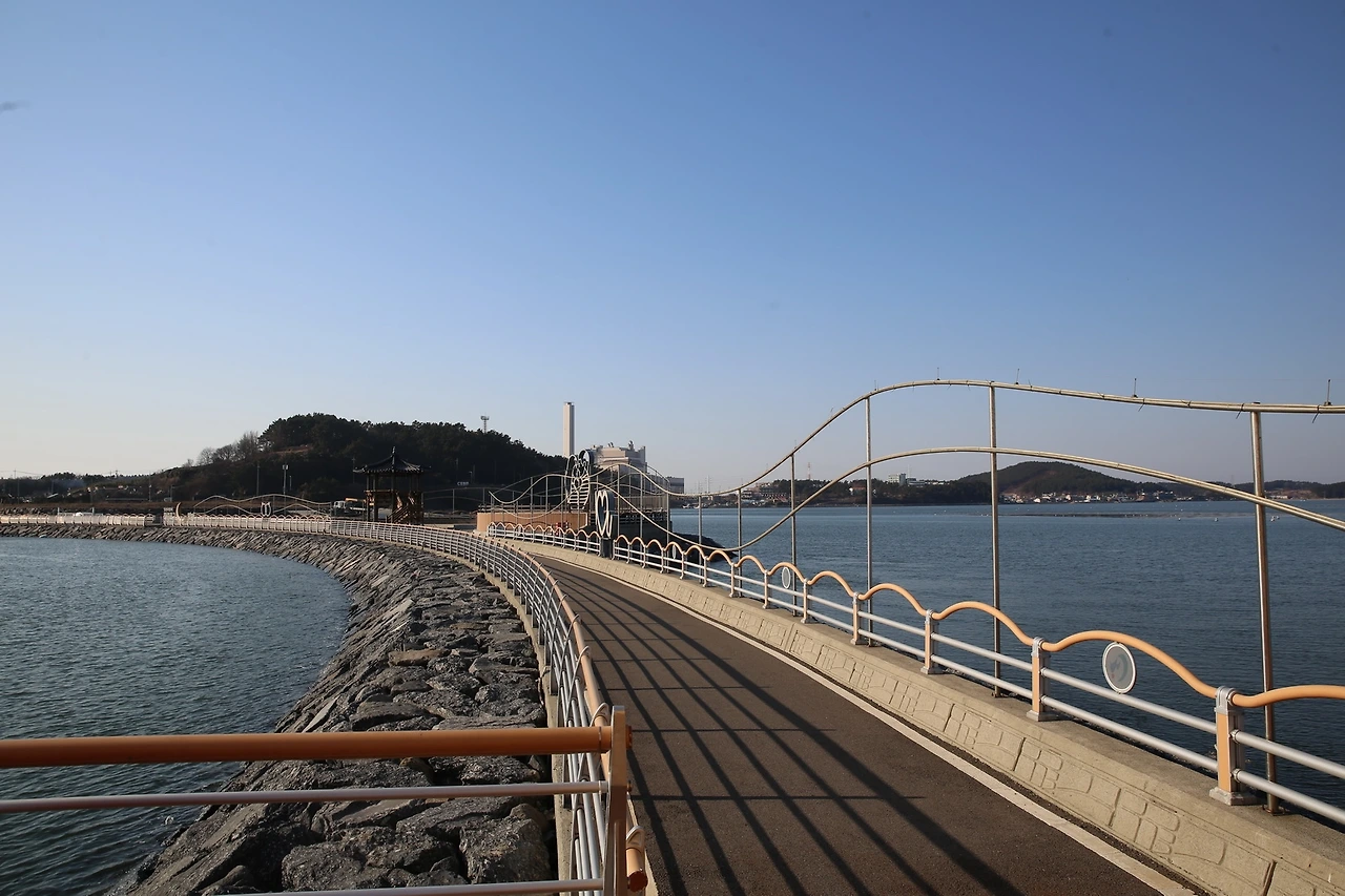 MG0A3566_новый размер.JPG