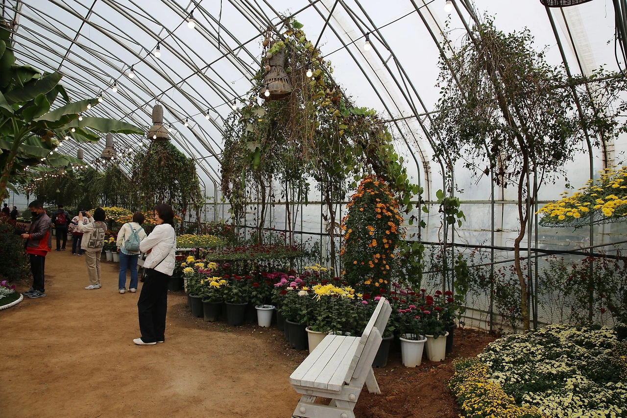 MG0A9670_новый размер.JPG