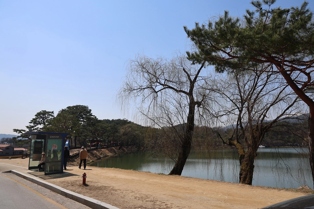 0R5A5417_новый размер.JPG