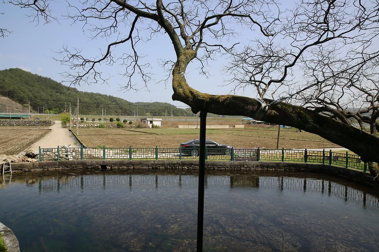 MG0A9761_новый размер.JPG