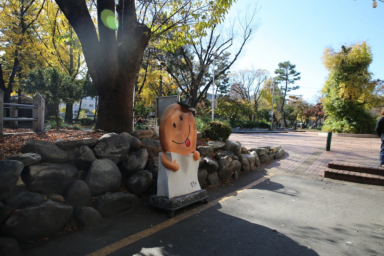 MG0A0088_новый размер.JPG