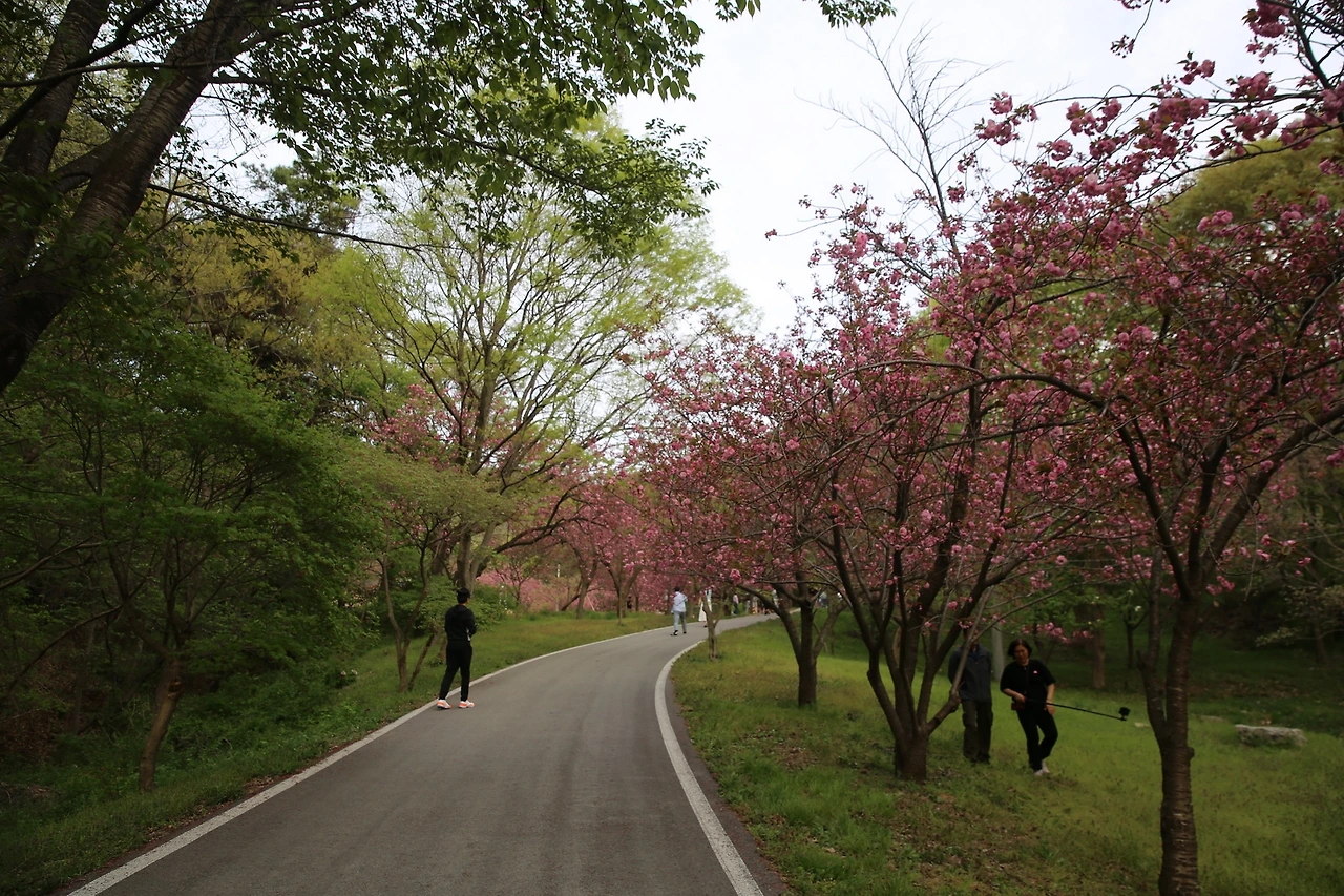 MG0A9529_новый размер.JPG