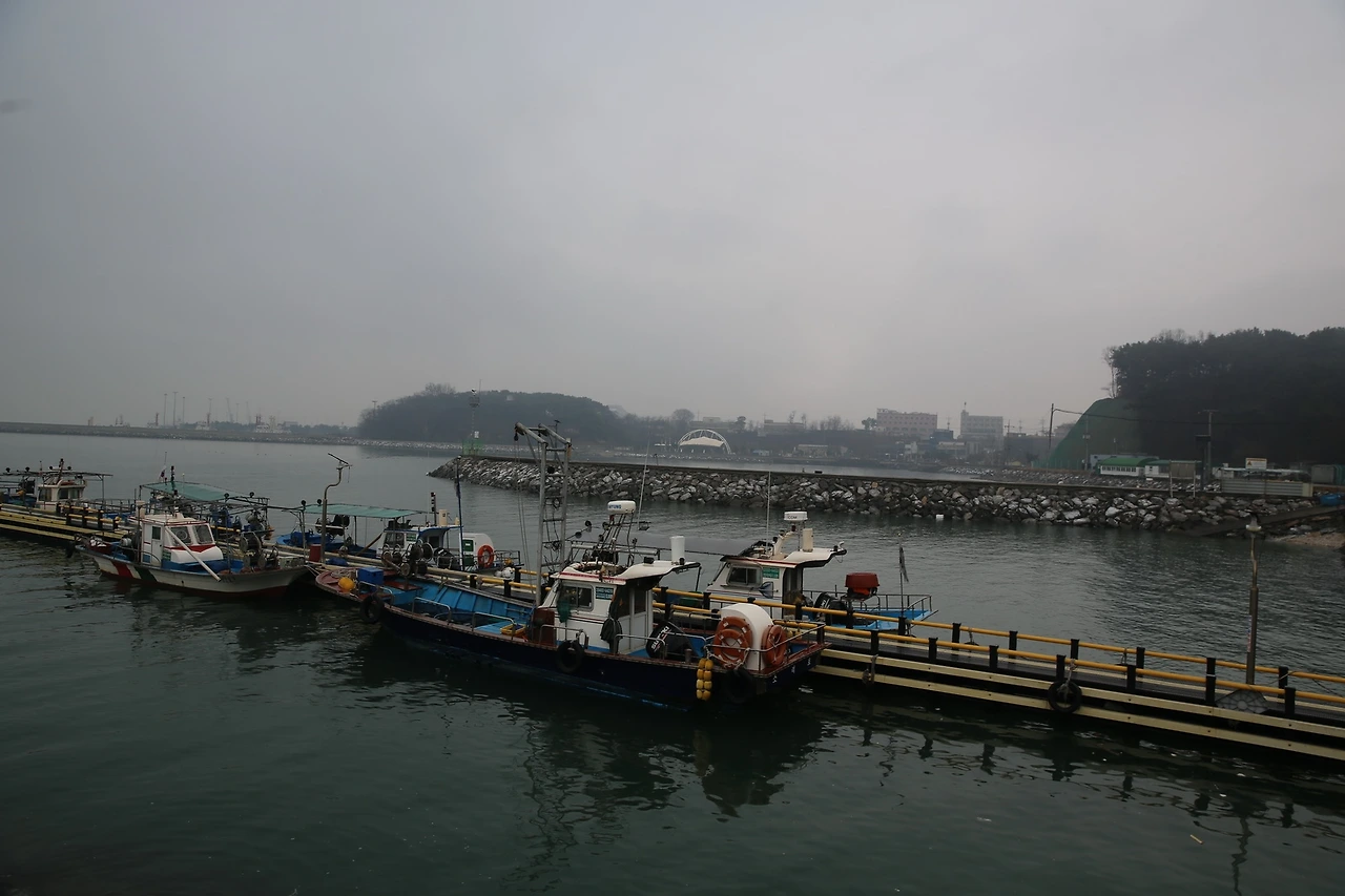 MG0A5835_новый размер.JPG