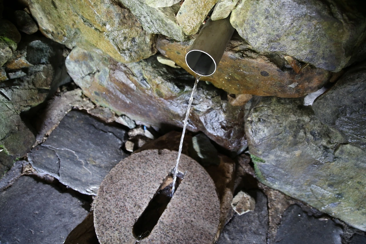 MG0A8519_новый размер.JPG