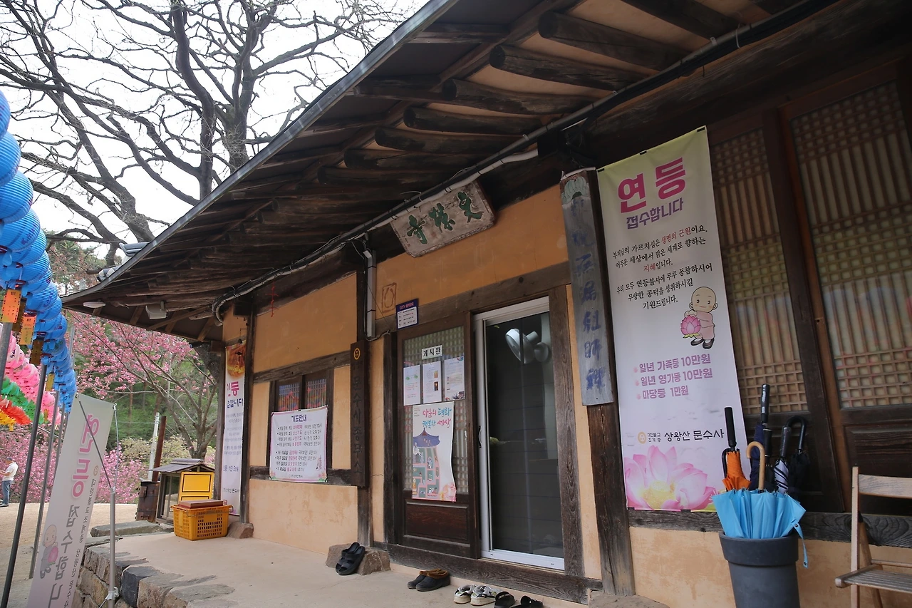 MG0A9546_новый размер.JPG