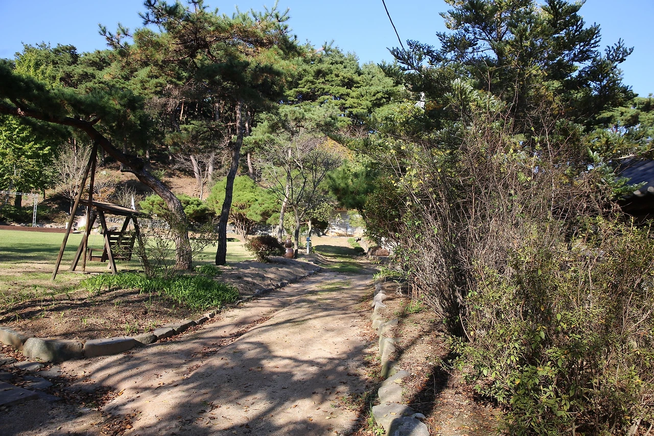 MG0A7426_новый размер.JPG