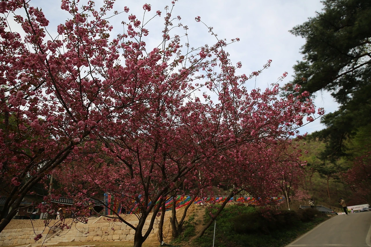 MG0A9537_новый размер.JPG