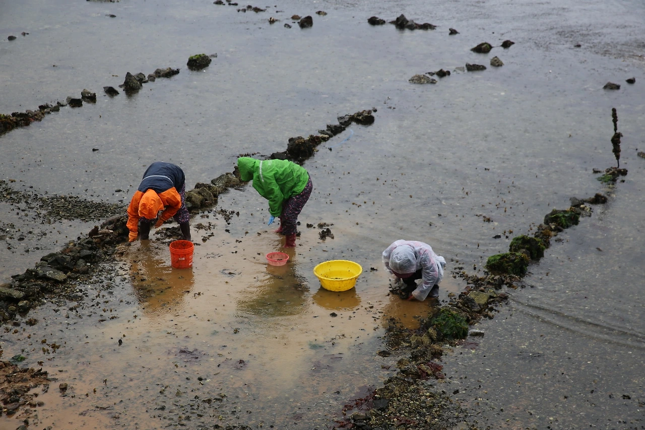 MG0A6416_новый размер.JPG