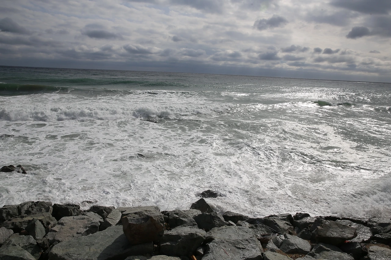 MG0A2620_новый размер.JPG