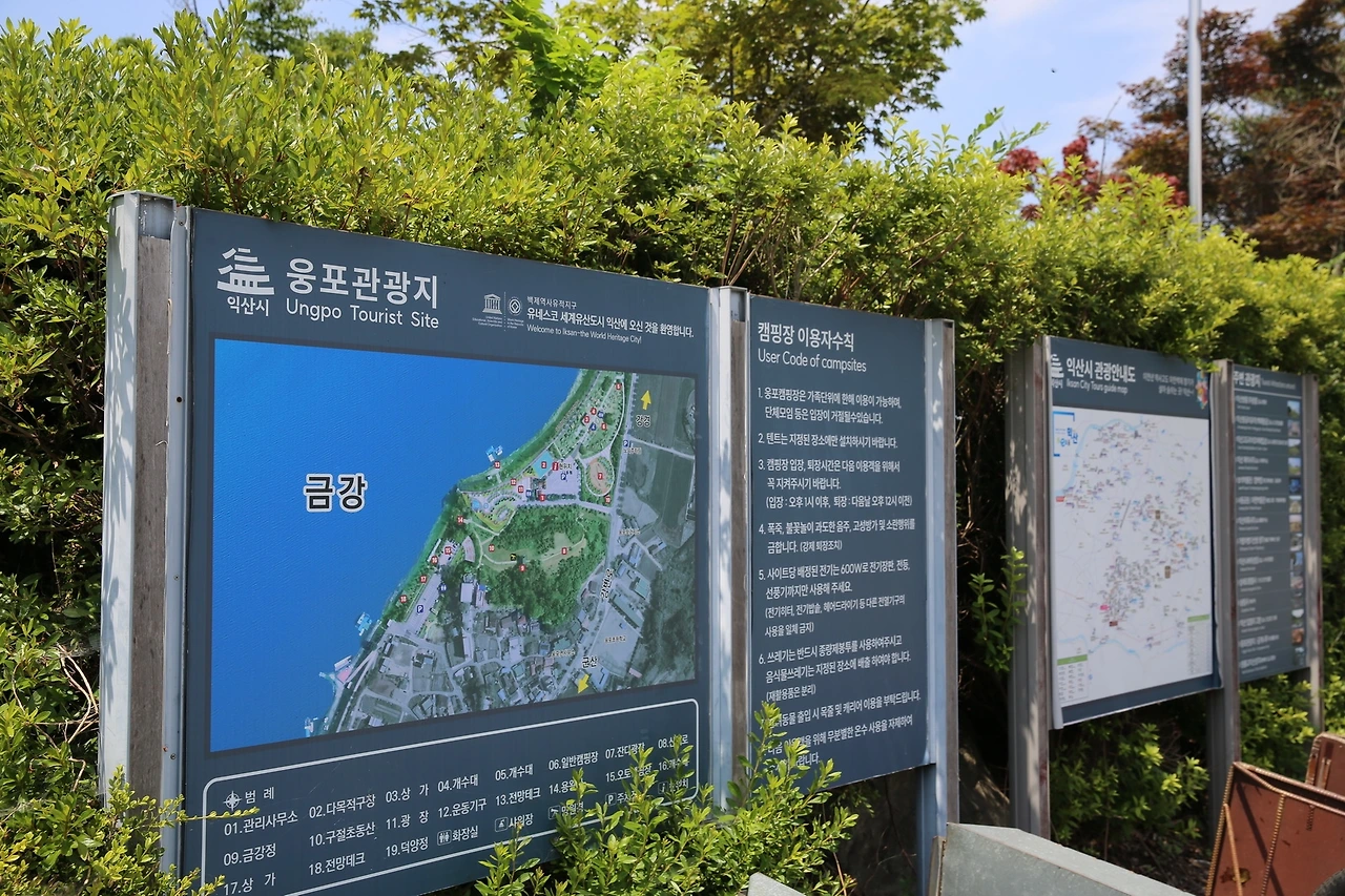 MG0A4499_новый размер.JPG