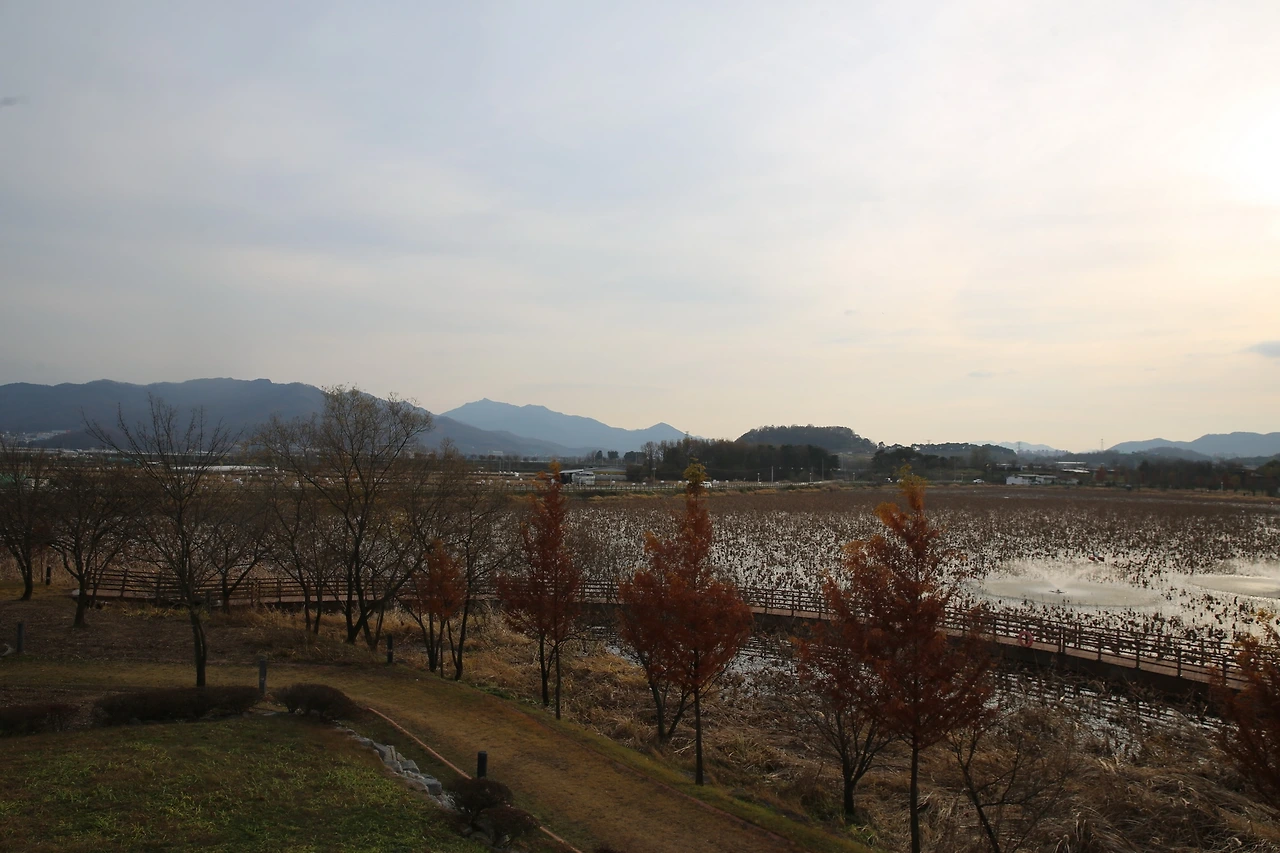 MG0A1788_новый размер.JPG