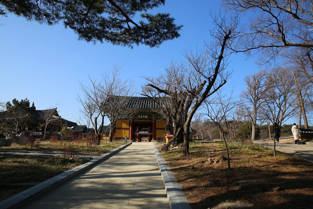 MG0A6512_новый размер.JPG