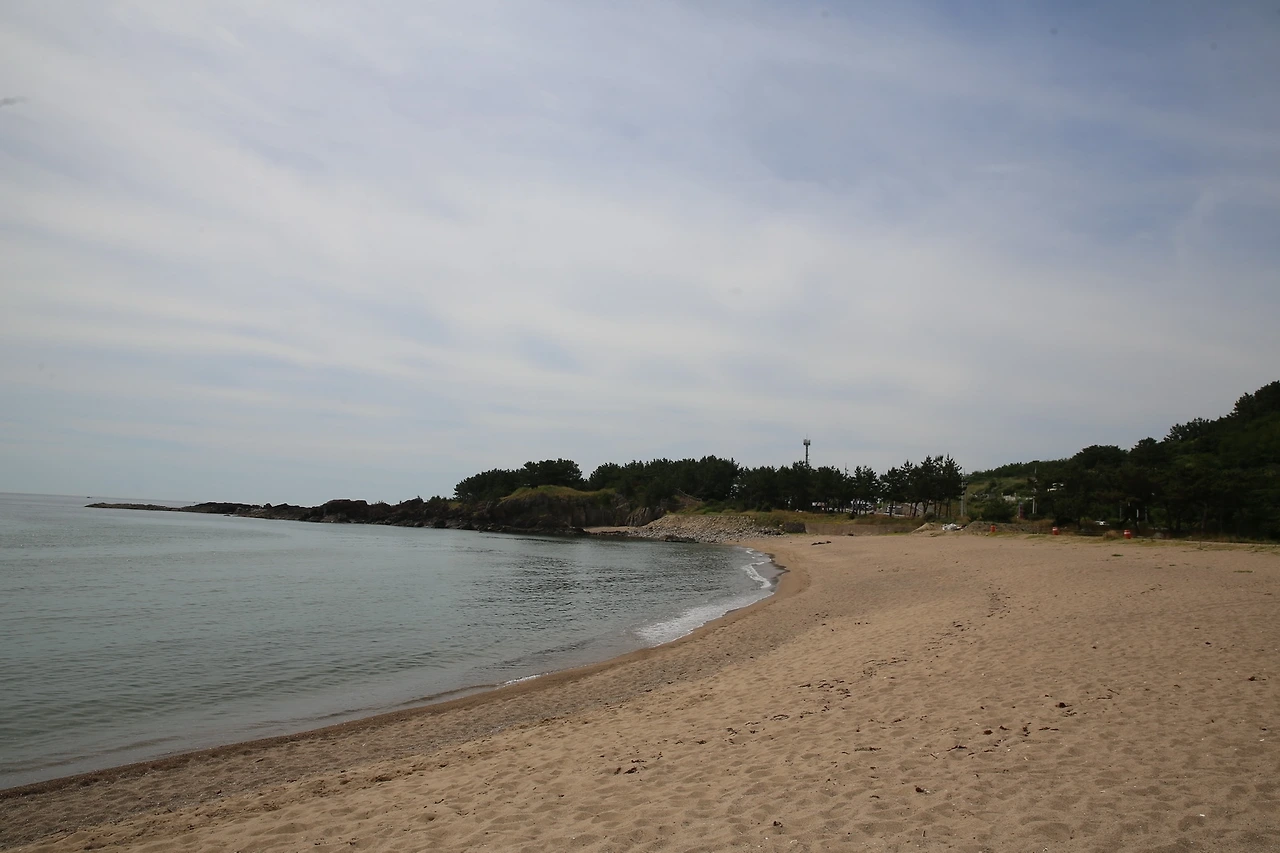 MG0A8445_новый размер.JPG