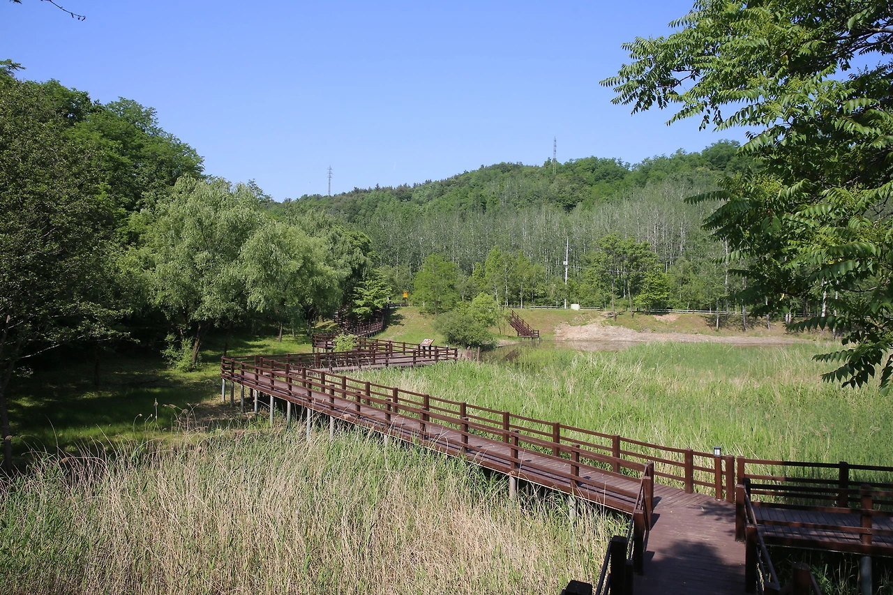 MG0A0056_новый размер.JPG