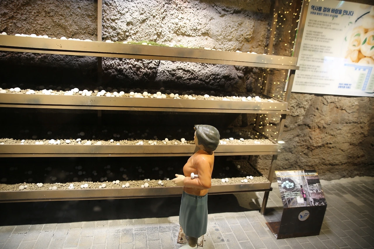 MG0A4837_новый размер.JPG