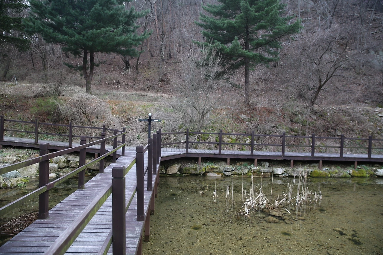 MG0A8383_новый размер.JPG