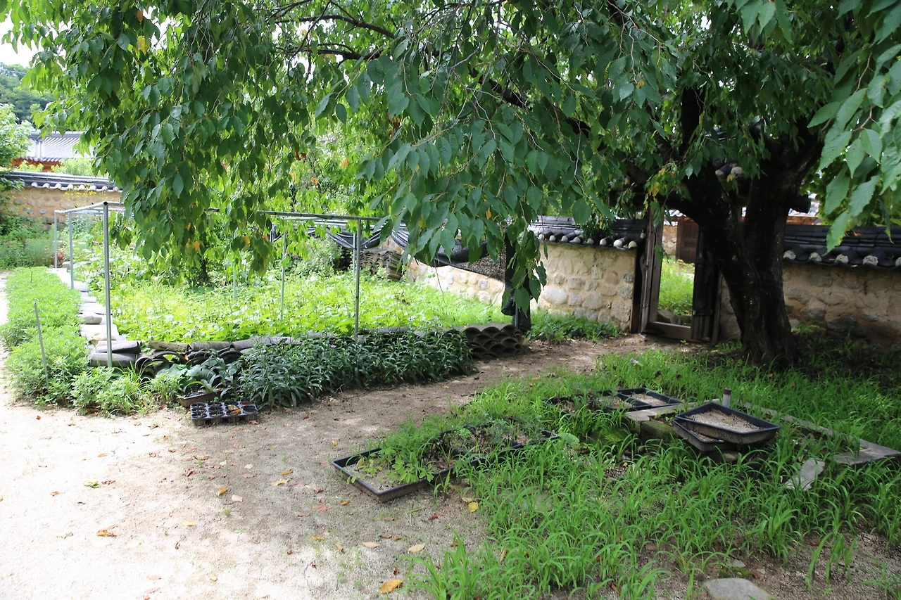 MG0A6608_новый размер.JPG