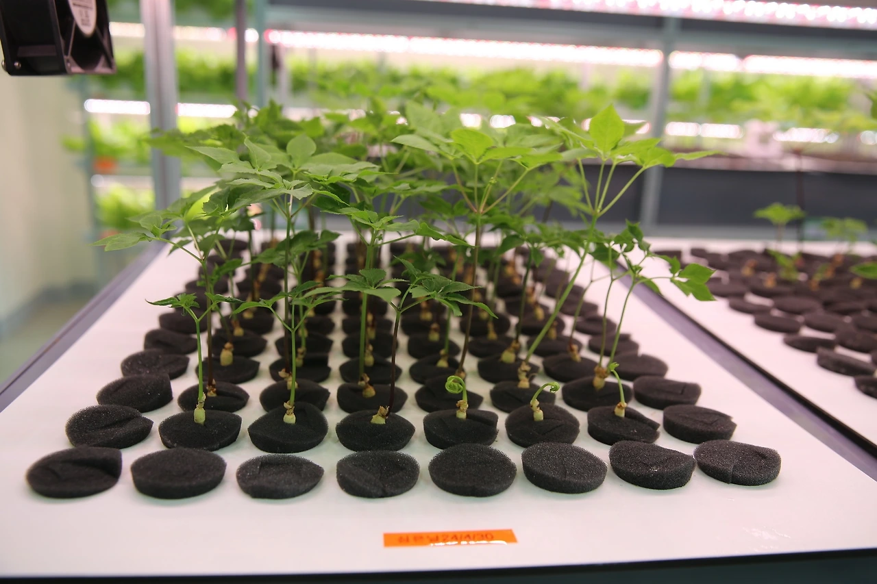 MG0A4204_новый размер.JPG