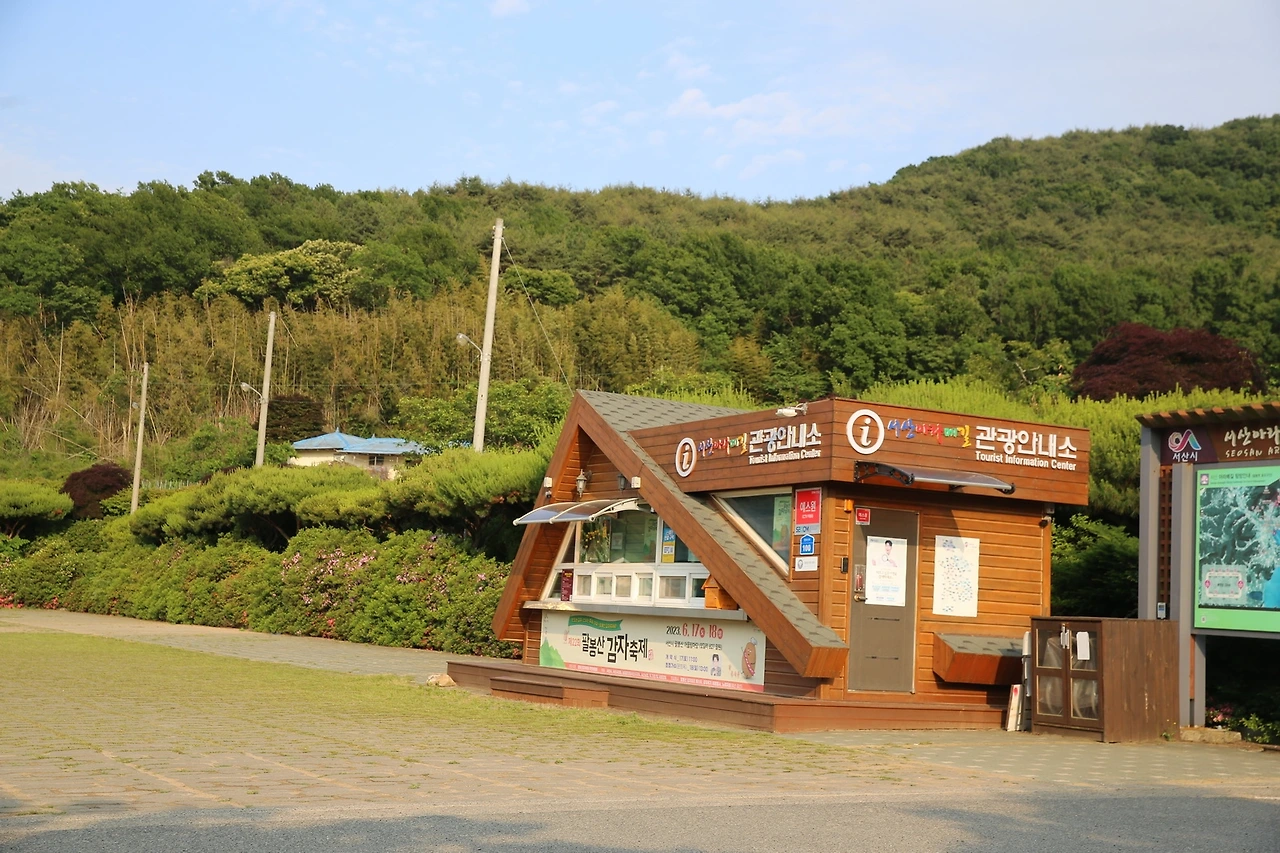 MG0A1964_новый размер.JPG