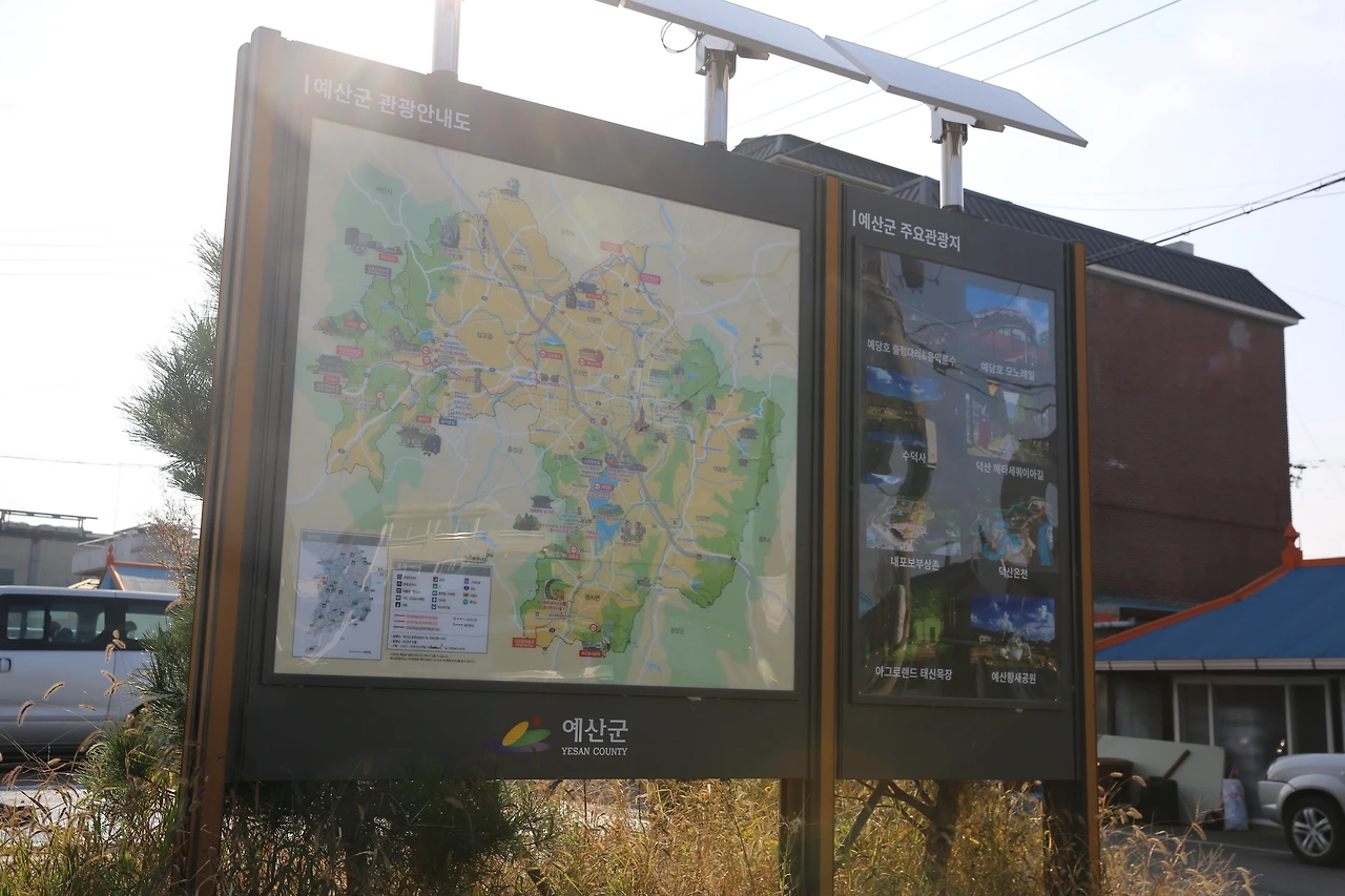 MG0A0026_новый размер.JPG