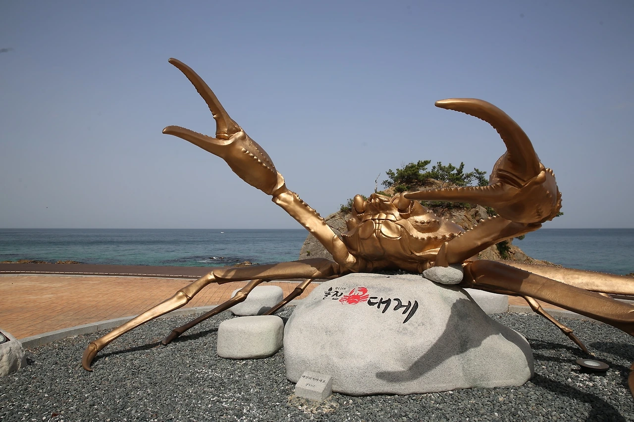 MG0A9808_новый размер.JPG