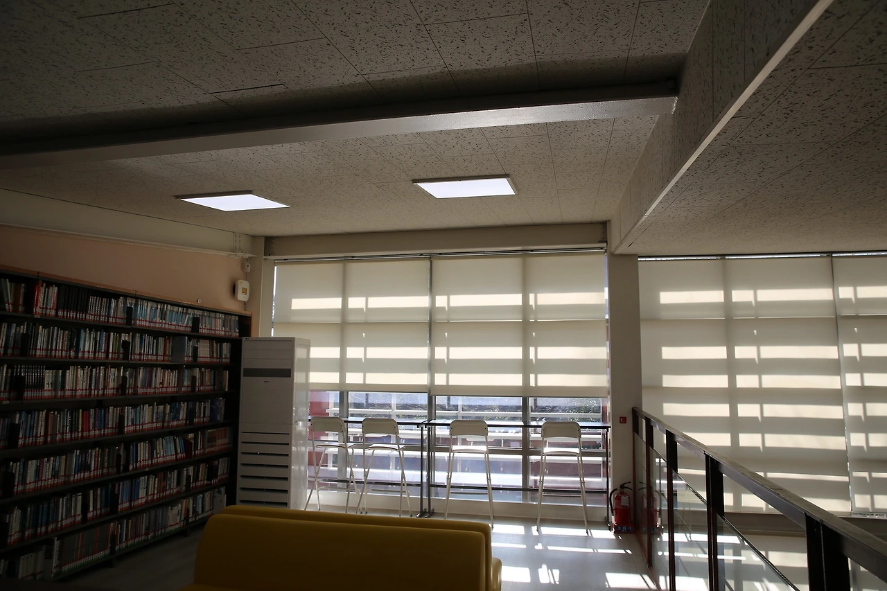 MG0A4918_новый размер.JPG