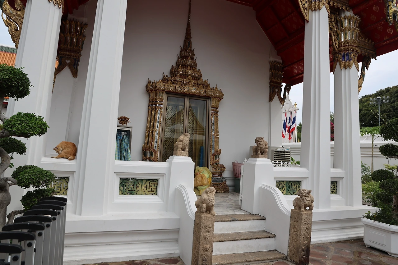 0R5A0426_новый размер.JPG