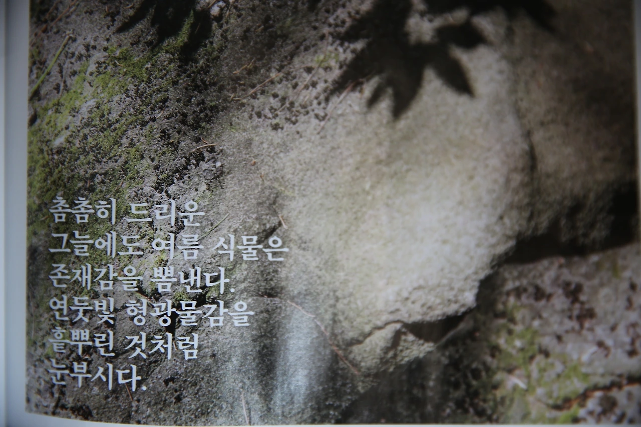 MG0A8918_новый размер.JPG