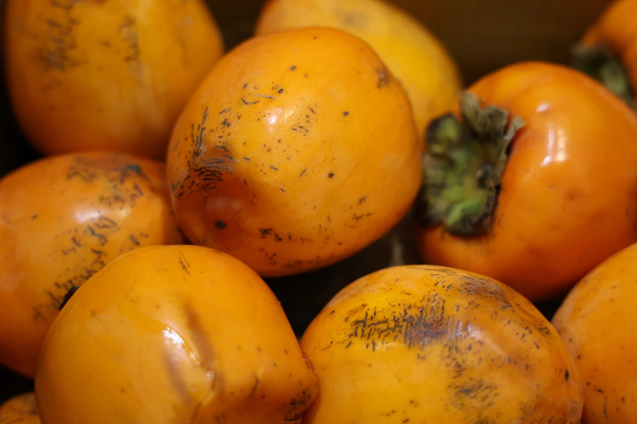 0R5A4795_новый размер.JPG