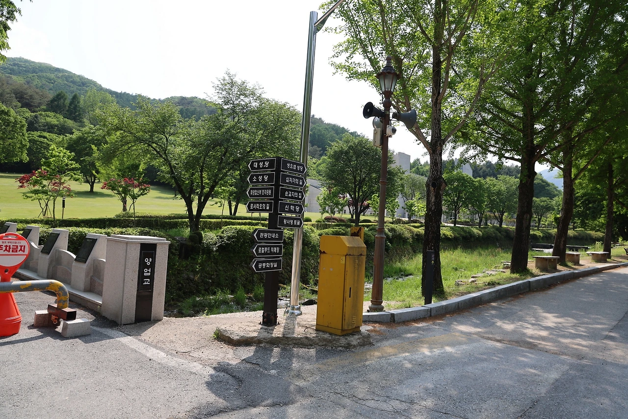 0R5A1472_новый размер.JPG