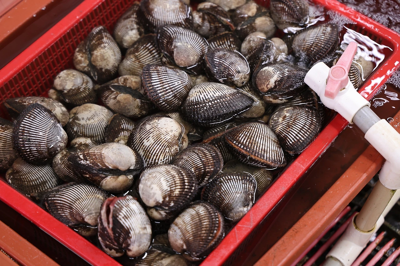 0R5A7743_новый размер.JPG