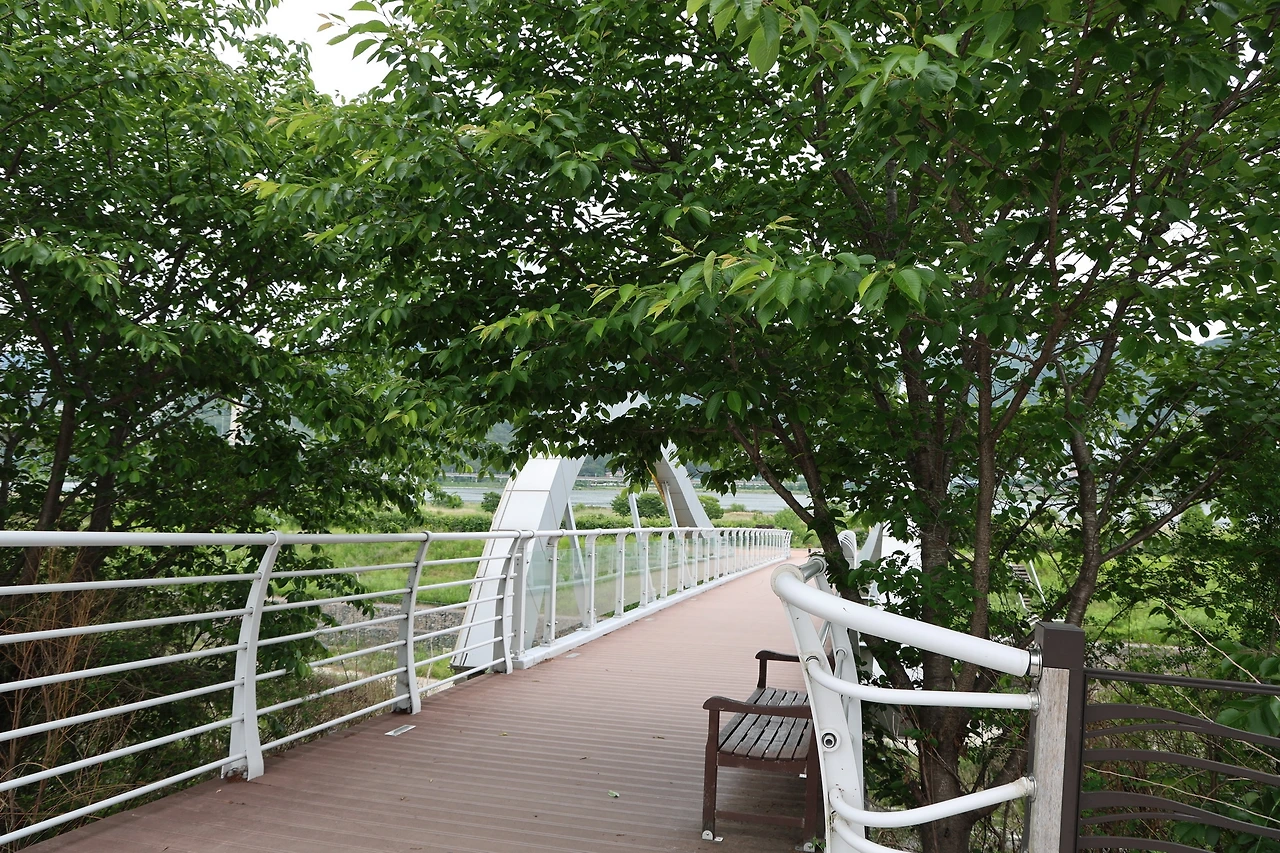 0R5A1746_новый размер.JPG