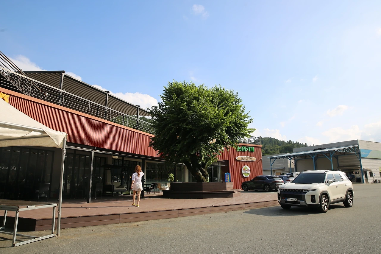 MG0A9480_новый размер.JPG