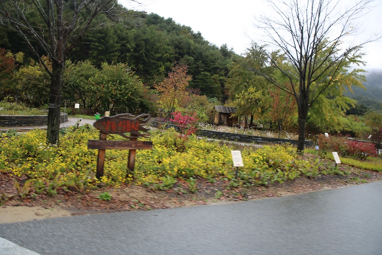 MG0A6174_новый размер.JPG