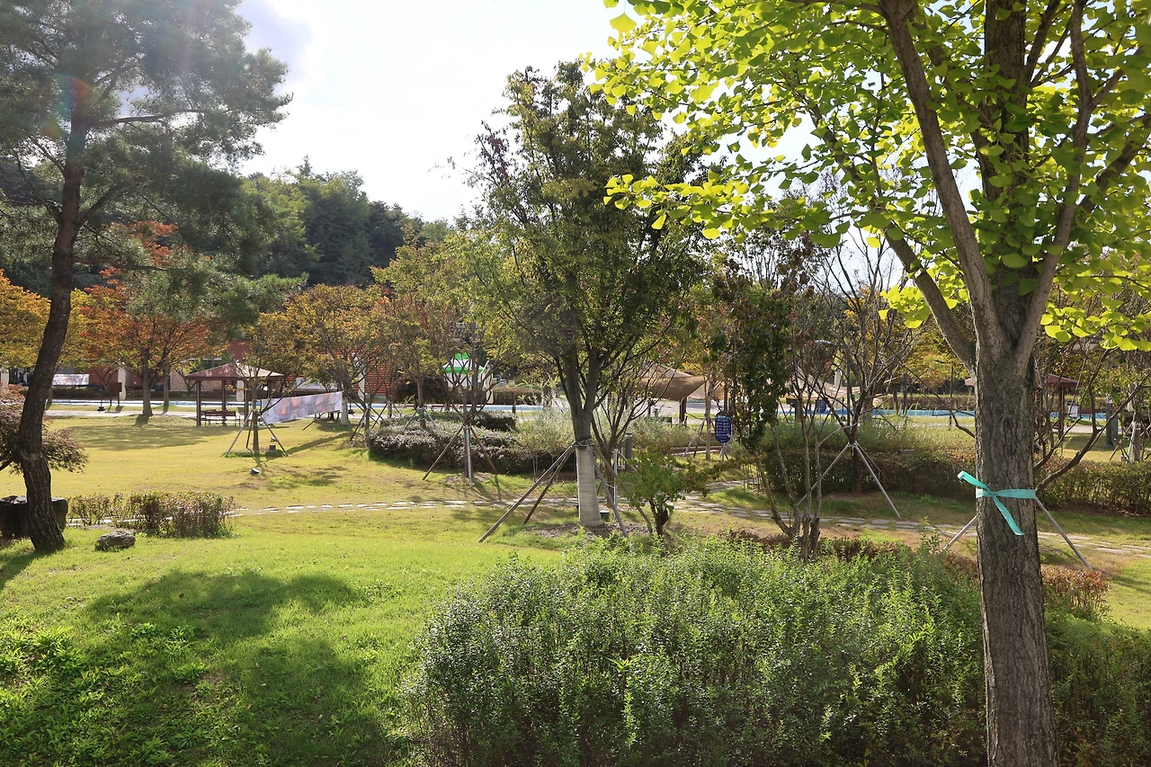 0R5A1171_новый размер.JPG