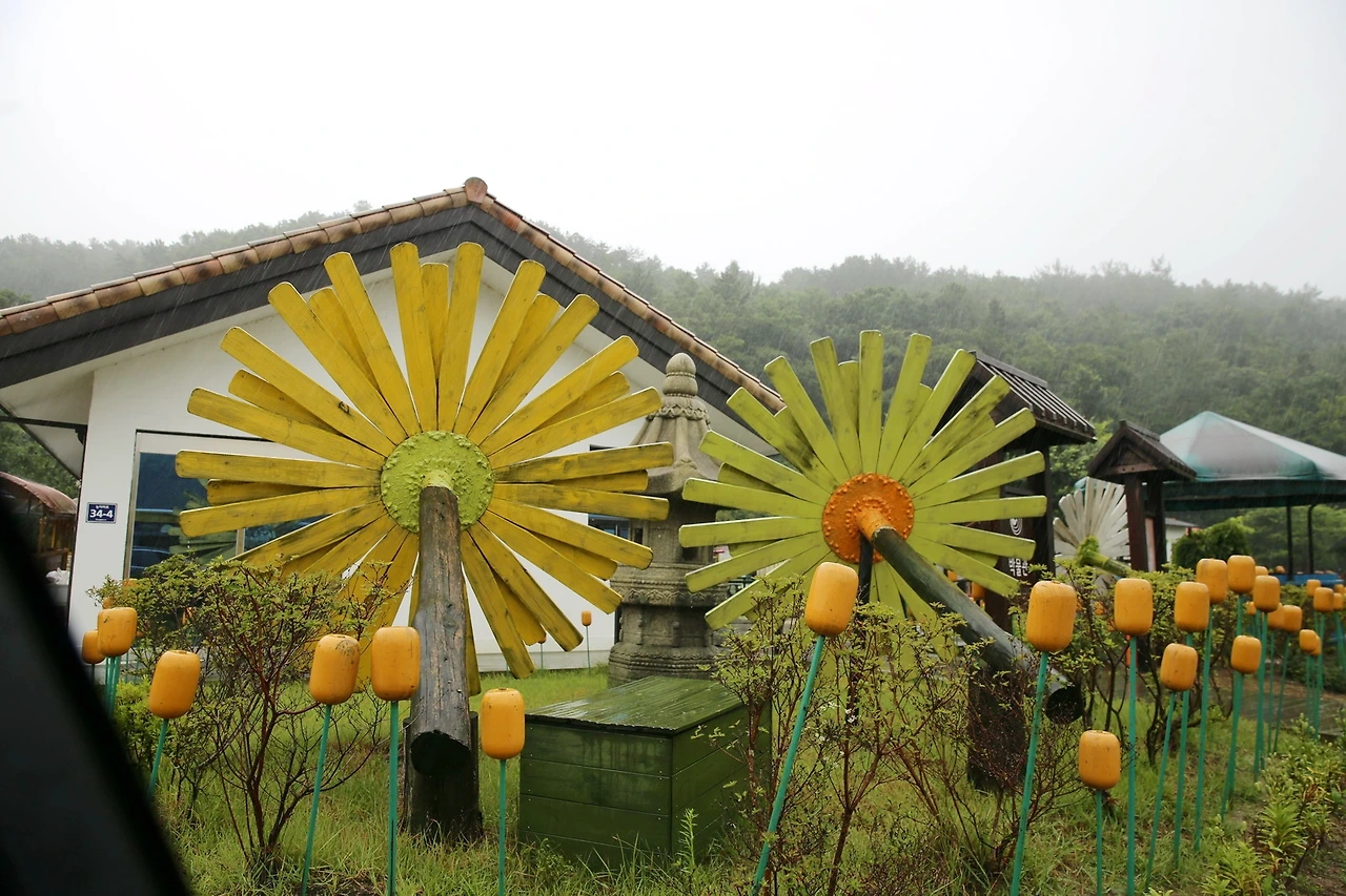 MG0A5226_новый размер_exposure.JPG