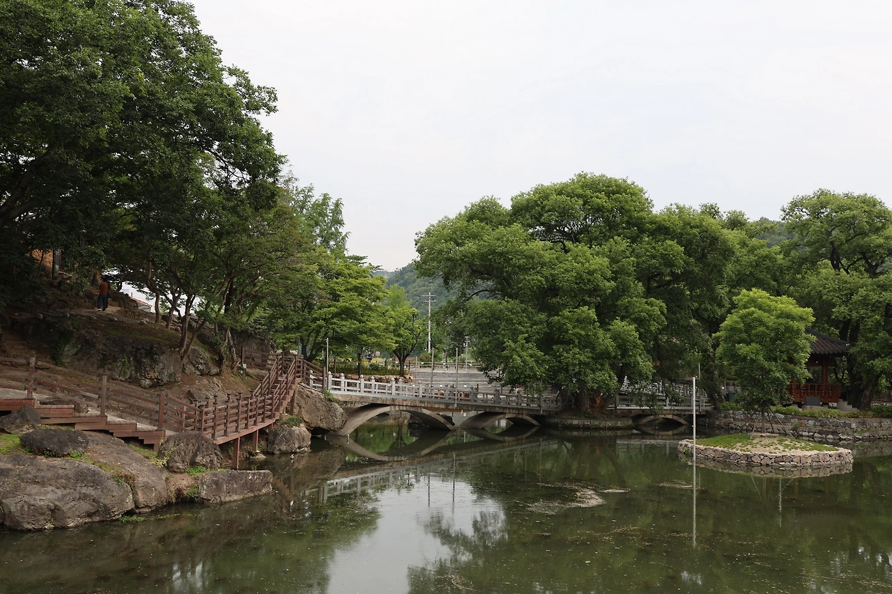 0R5A4368_новый размер.JPG