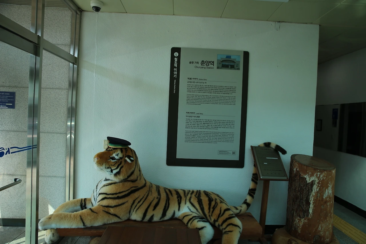 MG0A8315_новый размер.JPG