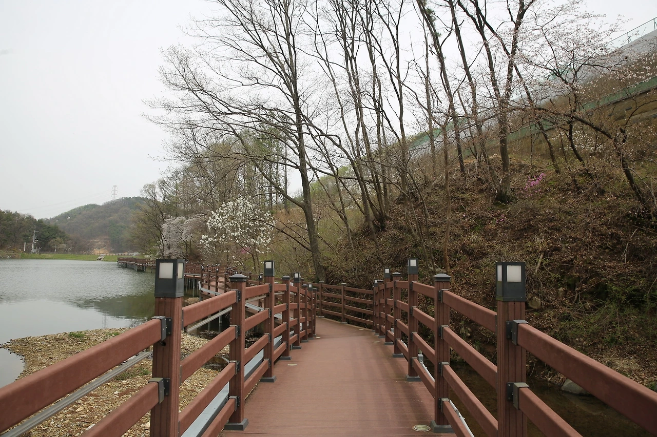 MG0A8600_новый размер.JPG