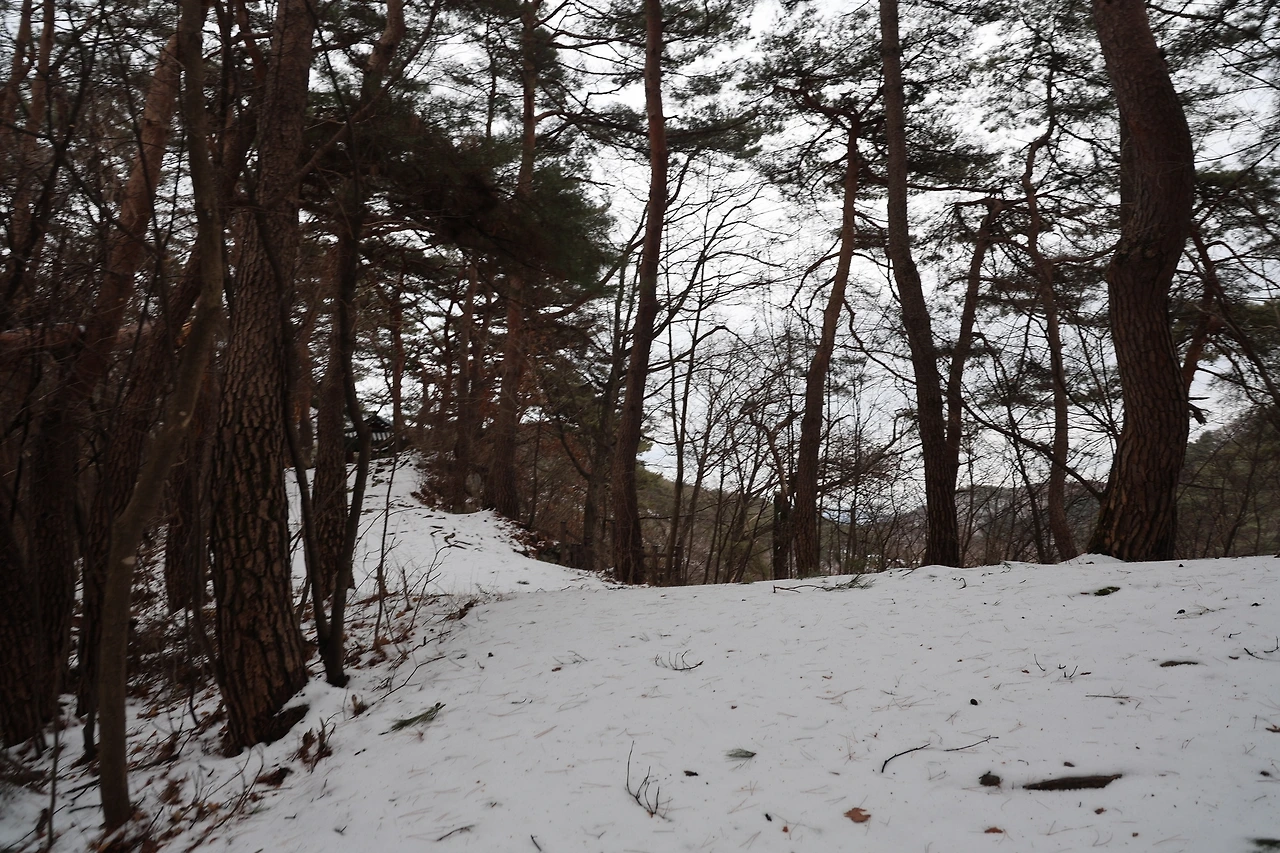 0R5A1721_новый размер.JPG