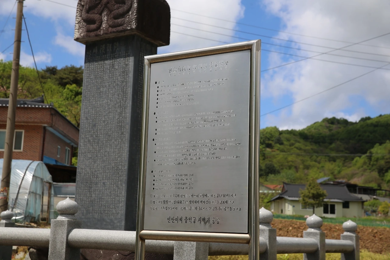 MG0A0745_новый размер.JPG