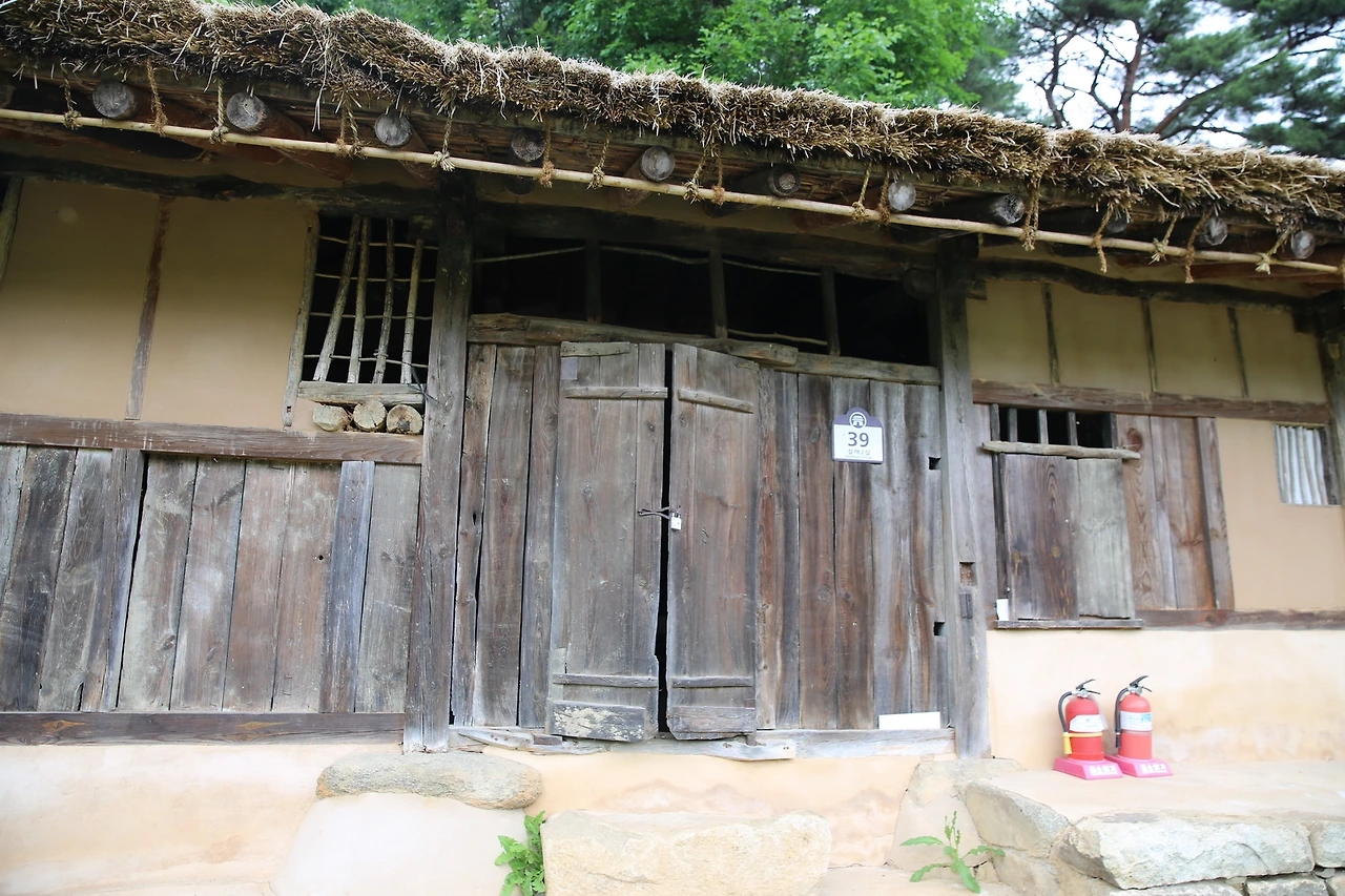 MG0A0455_новый размер.JPG