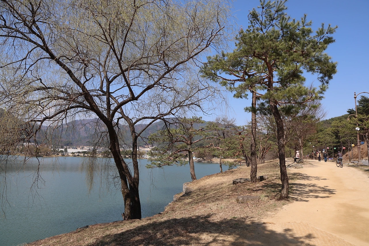 0R5A5413_новый размер.JPG